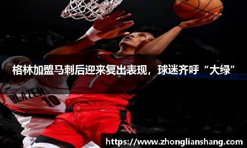 zoty中欧体育官方网站
