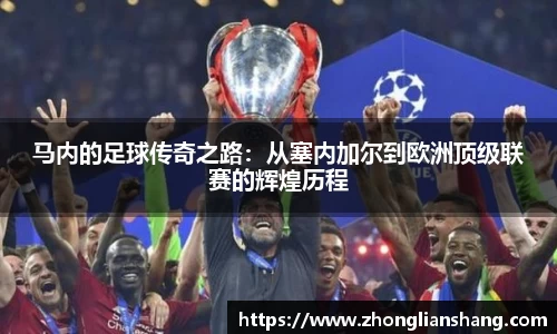 zoty中欧体育官方网站